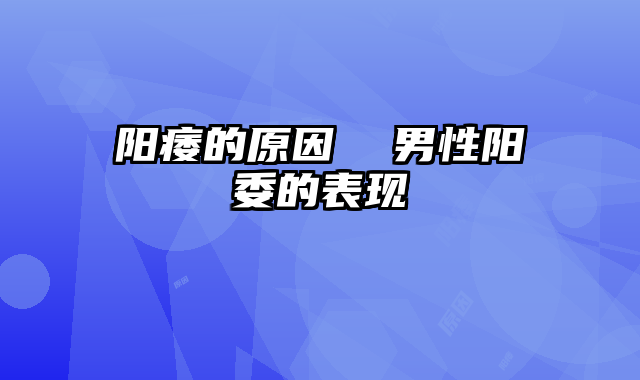 阳痿的原因  男性阳委的表现