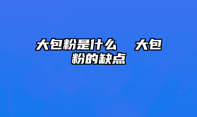 大包粉是什么  大包粉的缺点