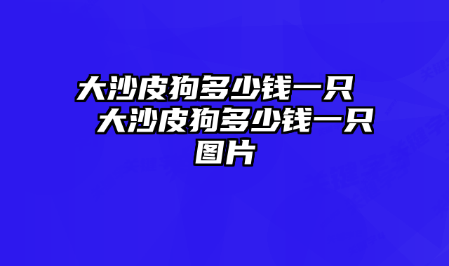 大沙皮狗多少钱一只  大沙皮狗多少钱一只图片