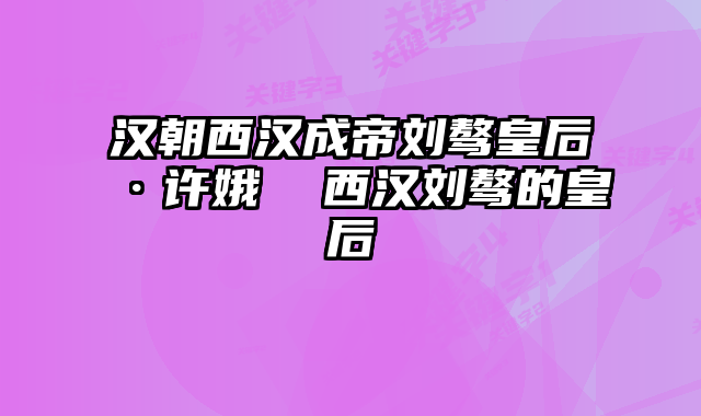 汉朝西汉成帝刘骜皇后·许娥 西汉刘骜的皇后