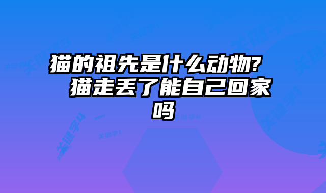 猫的祖先是什么动物?  猫走丢了能自己回家吗