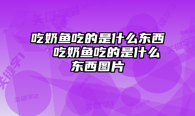吃奶鱼吃的是什么东西  吃奶鱼吃的是什么东西图片