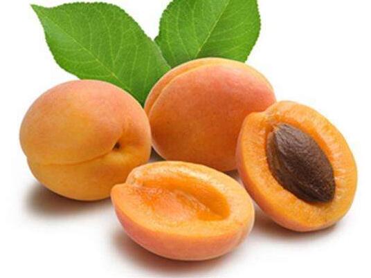 食用杏子有哪些禁忌-杏子的功效与作用