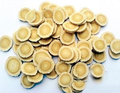 黄芪的功效与作用及食用方法_黄芪服用的禁忌有哪些