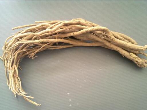 黄芪的功效与作用及食用方法_黄芪服用的禁忌有哪些