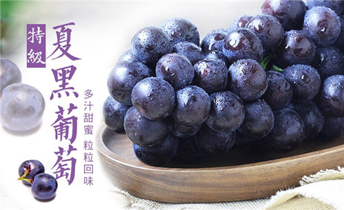 夏黑葡萄好吃吗