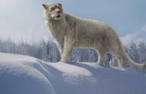 大的狮子 残暴狮全长可至4米 体重400公斤以上