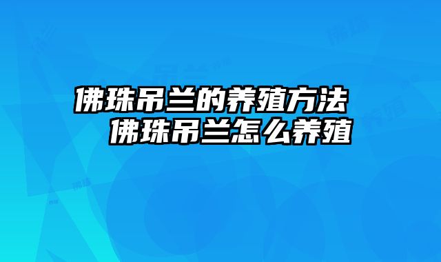 佛珠吊兰的养殖方法  佛珠吊兰怎么养殖