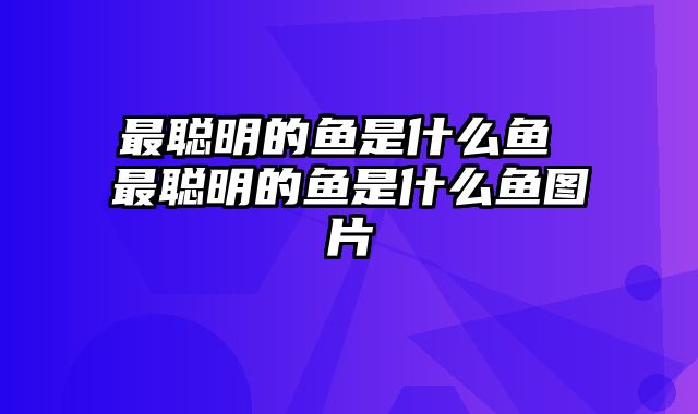最聪明的鱼是什么鱼 最聪明的鱼是什么鱼图片