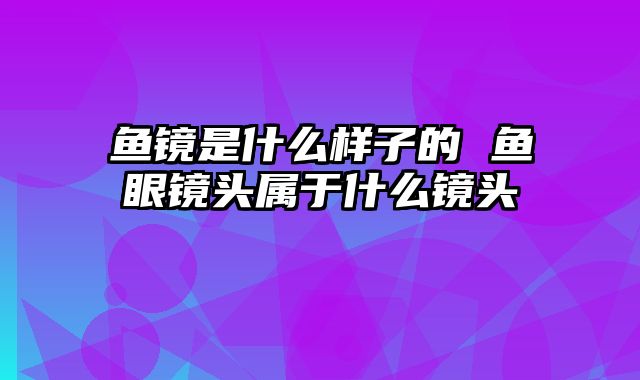 鱼镜是什么样子的 鱼眼镜头属于什么镜头