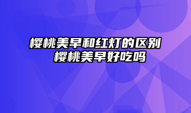 樱桃美早和红灯的区别 樱桃美早好吃吗