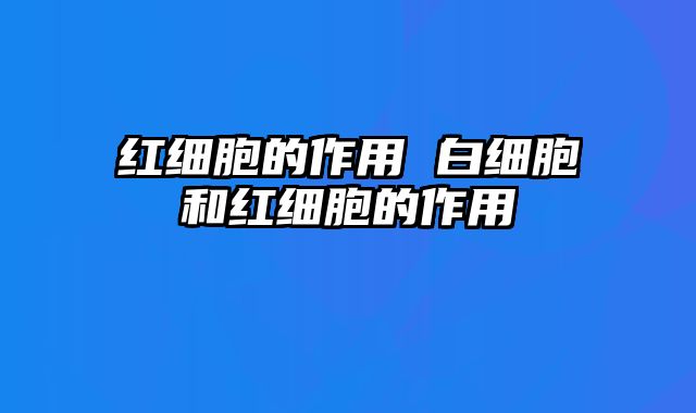 红细胞的作用 白细胞和红细胞的作用