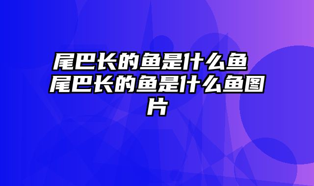 尾巴长的鱼是什么鱼 尾巴长的鱼是什么鱼图片