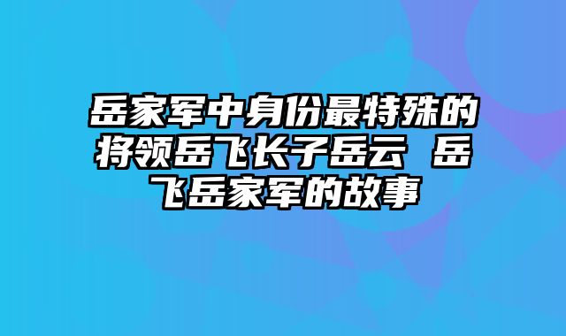 岳家军中身份最特殊的将领岳飞长子岳云 岳飞岳家军的故事
