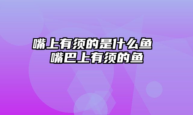 嘴上有须的是什么鱼 嘴巴上有须的鱼