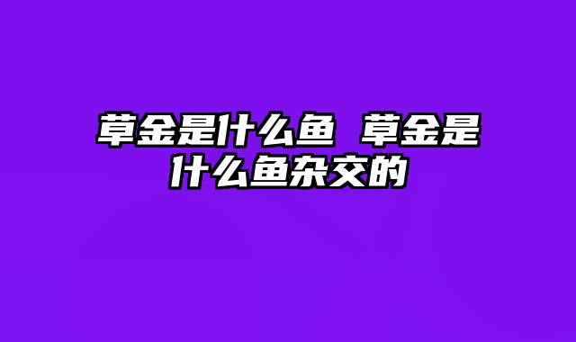 草金是什么鱼 草金是什么鱼杂交的
