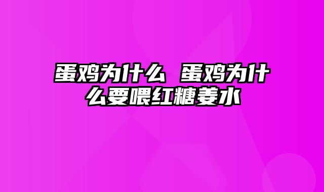 蛋鸡为什么 蛋鸡为什么要喂红糖姜水
