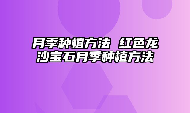 月季种植方法 红色龙沙宝石月季种植方法