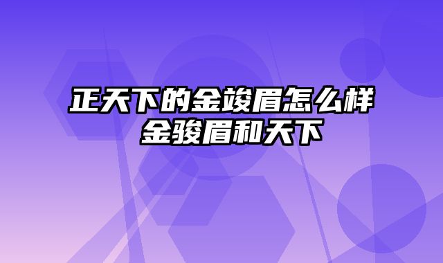 正天下的金竣眉怎么样 金骏眉和天下