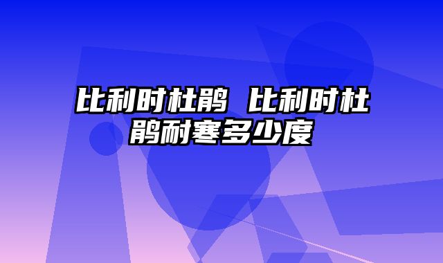 比利时杜鹃 比利时杜鹃耐寒多少度