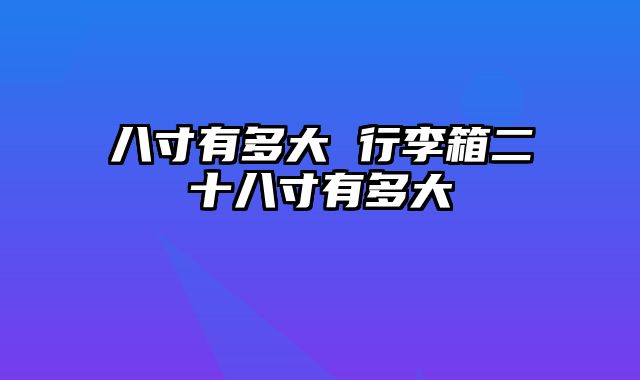 八寸有多大 行李箱二十八寸有多大
