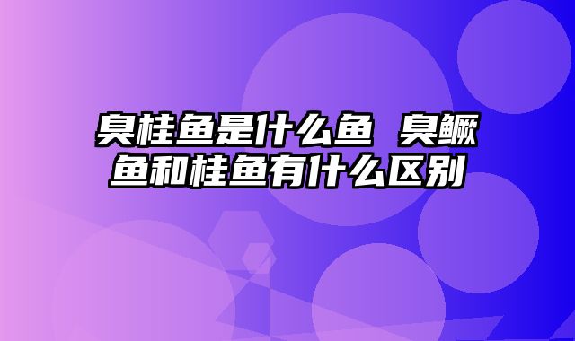 臭桂鱼是什么鱼 臭鳜鱼和桂鱼有什么区别