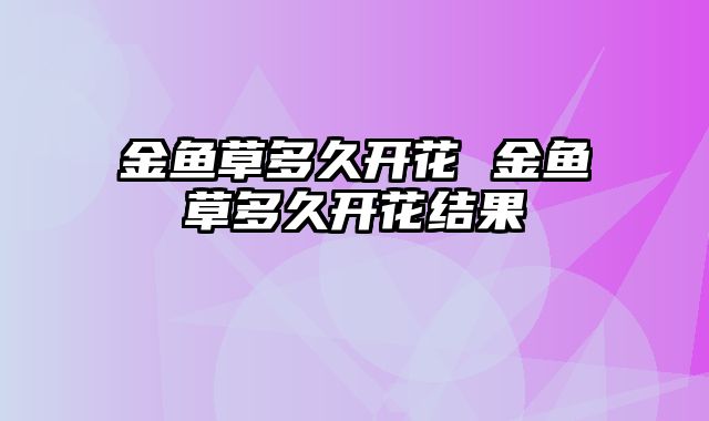 金鱼草多久开花 金鱼草多久开花结果
