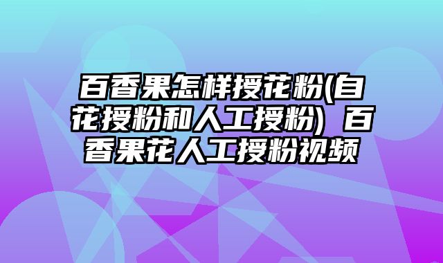 百香果怎样授花粉(自花授粉和人工授粉) 百香果花人工授粉视频