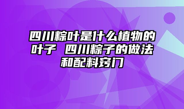 四川粽叶是什么植物的叶子 四川粽子的做法和配料窍门