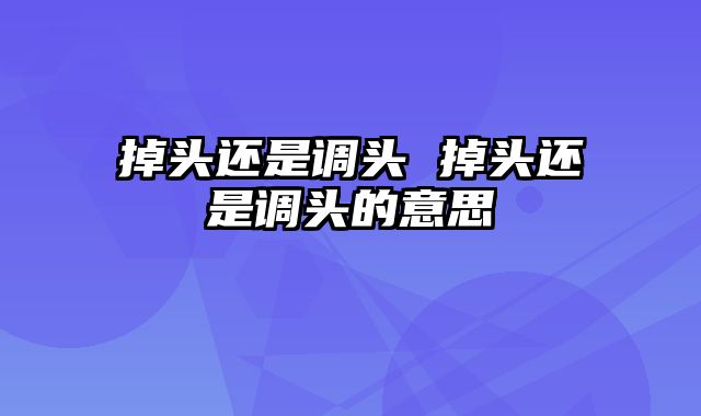 掉头还是调头 掉头还是调头的意思