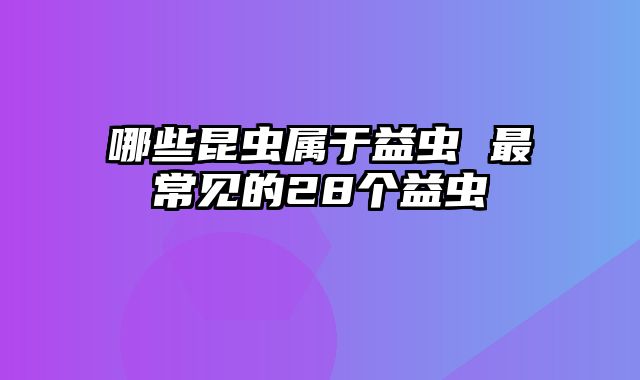 哪些昆虫属于益虫 最常见的28个益虫
