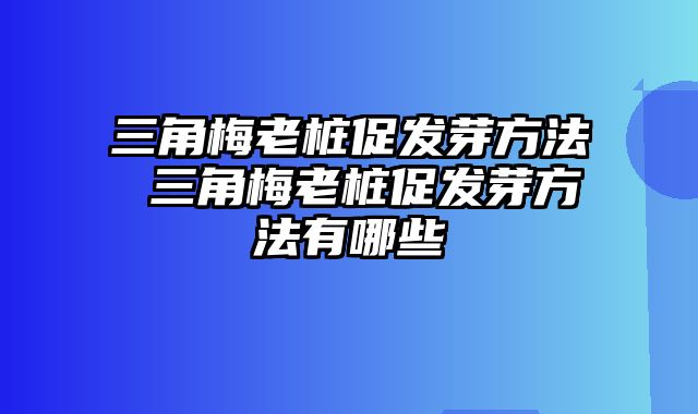 三角梅老桩促发芽方法 三角梅老桩促发芽方法有哪些