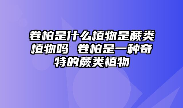 卷柏是什么植物是蕨类植物吗 卷柏是一种奇特的蕨类植物