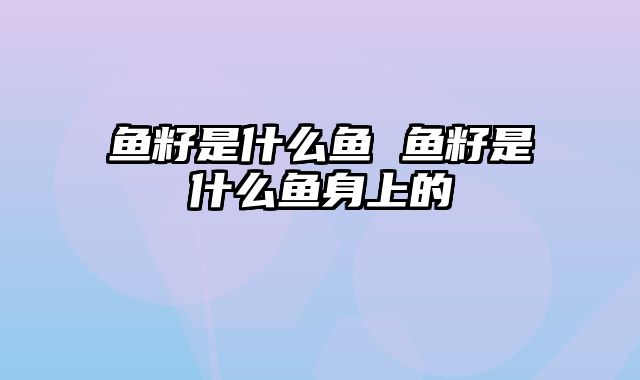 鱼籽是什么鱼 鱼籽是什么鱼身上的