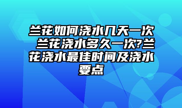 兰花如何浇水几天一次 兰花浇水多久一次?兰花浇水最佳时间及浇水要点