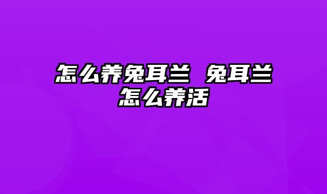 怎么养兔耳兰 兔耳兰怎么养活
