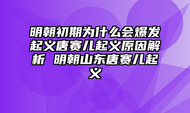 明朝初期为什么会爆发起义唐赛儿起义原因解析 明朝山东唐赛儿起义