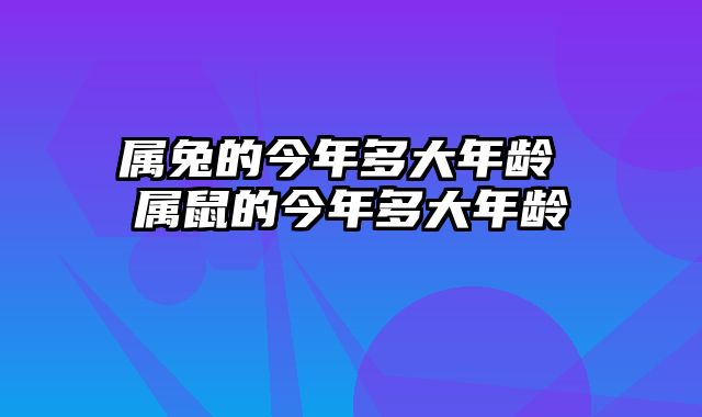 属兔的今年多大年龄 属鼠的今年多大年龄
