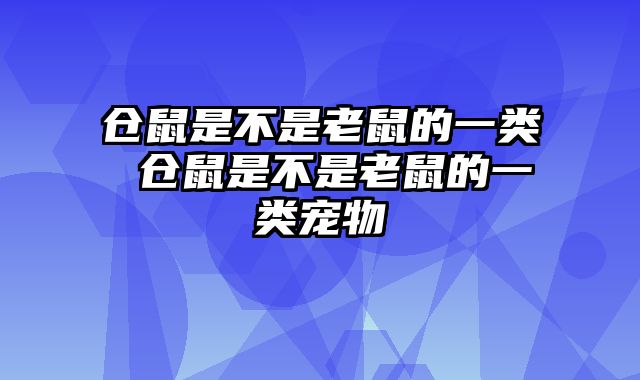 仓鼠是不是老鼠的一类 仓鼠是不是老鼠的一类宠物