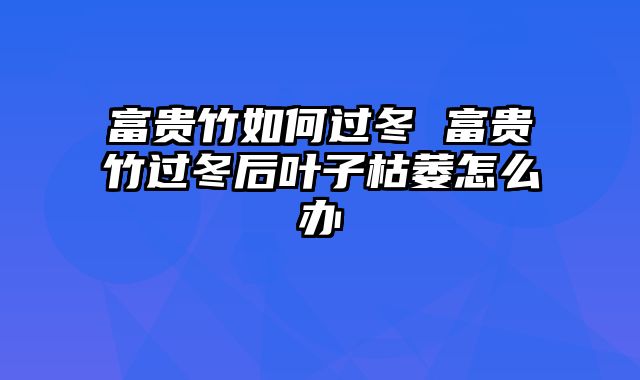 富贵竹如何过冬 富贵竹过冬后叶子枯萎怎么办