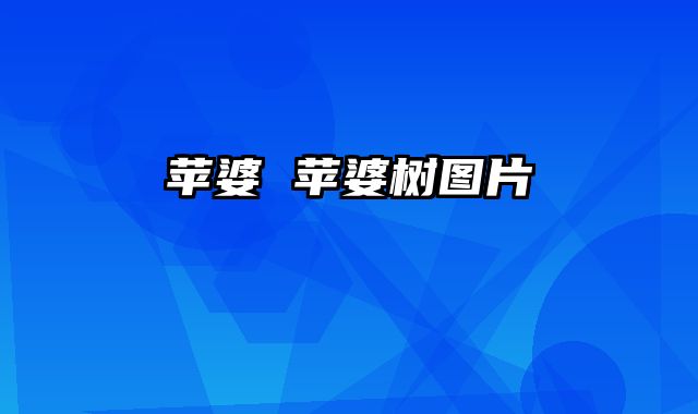 苹婆 苹婆树图片