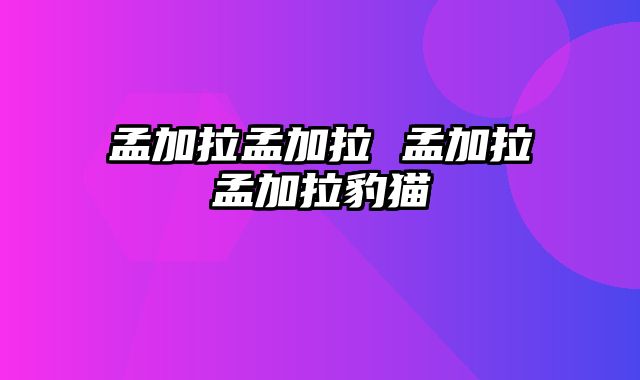孟加拉孟加拉 孟加拉孟加拉豹猫