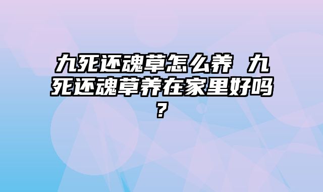 九死还魂草怎么养 九死还魂草养在家里好吗?
