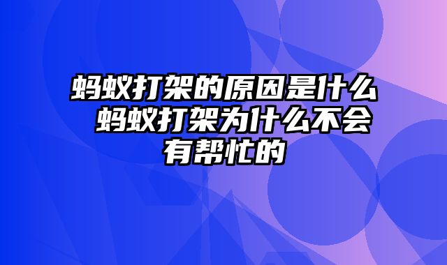 蚂蚁打架的原因是什么 蚂蚁打架为什么不会有帮忙的