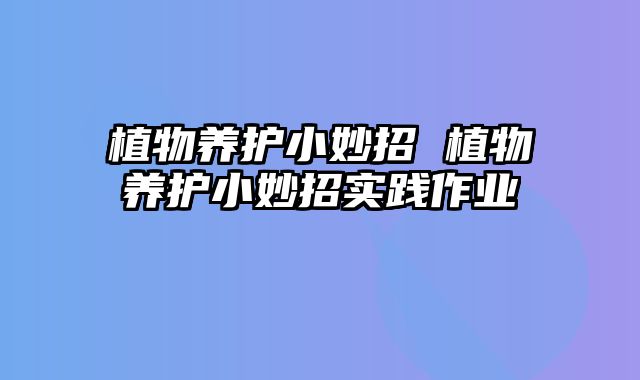 植物养护小妙招 植物养护小妙招实践作业