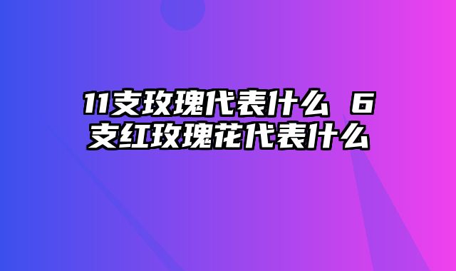 11支玫瑰代表什么 6支红玫瑰花代表什么