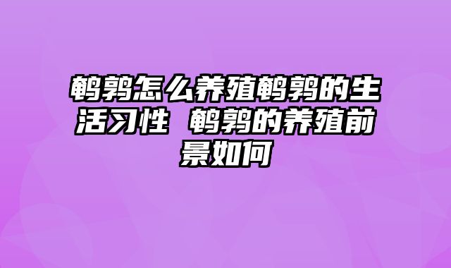 鹌鹑怎么养殖鹌鹑的生活习性 鹌鹑的养殖前景如何