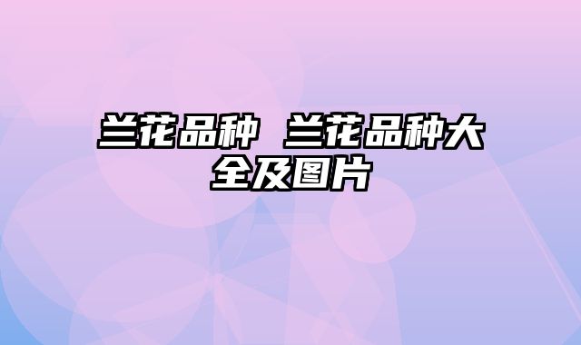 兰花品种 兰花品种大全及图片