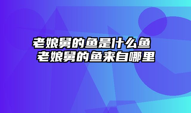 老娘舅的鱼是什么鱼 老娘舅的鱼来自哪里