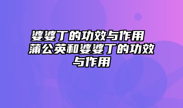 婆婆丁的功效与作用 蒲公英和婆婆丁的功效与作用
